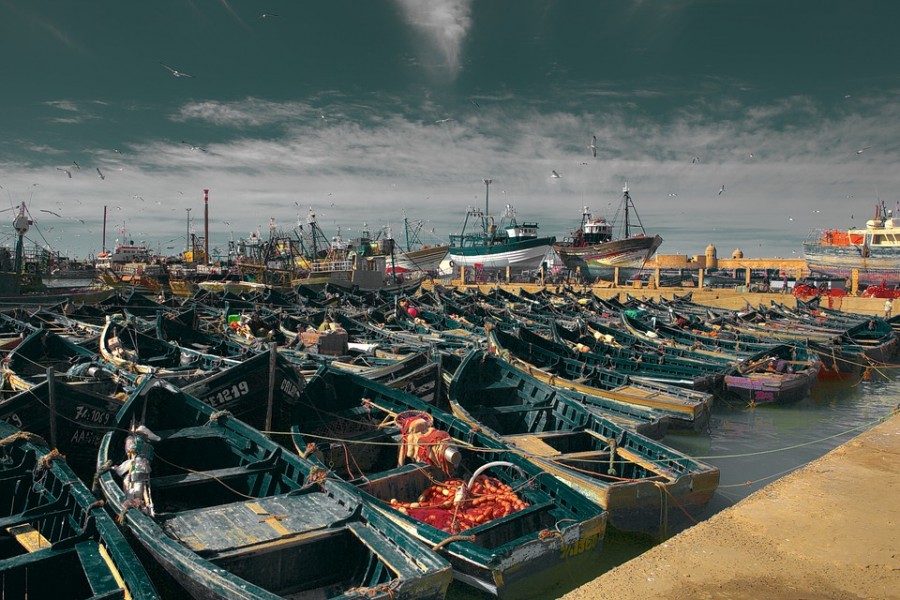 Visite du port d'Essaouira