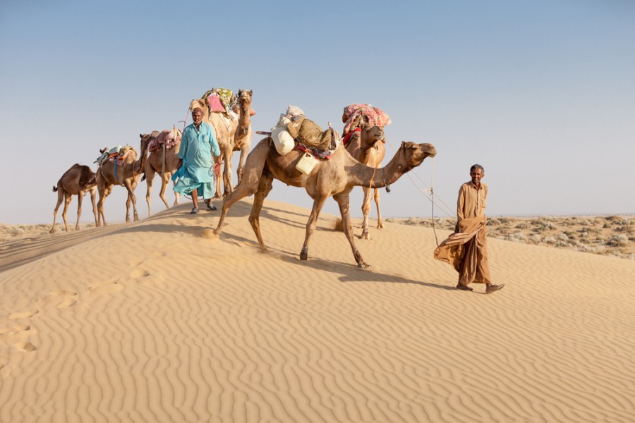 Nomades du désert : le plan idéal pour vos vacances !