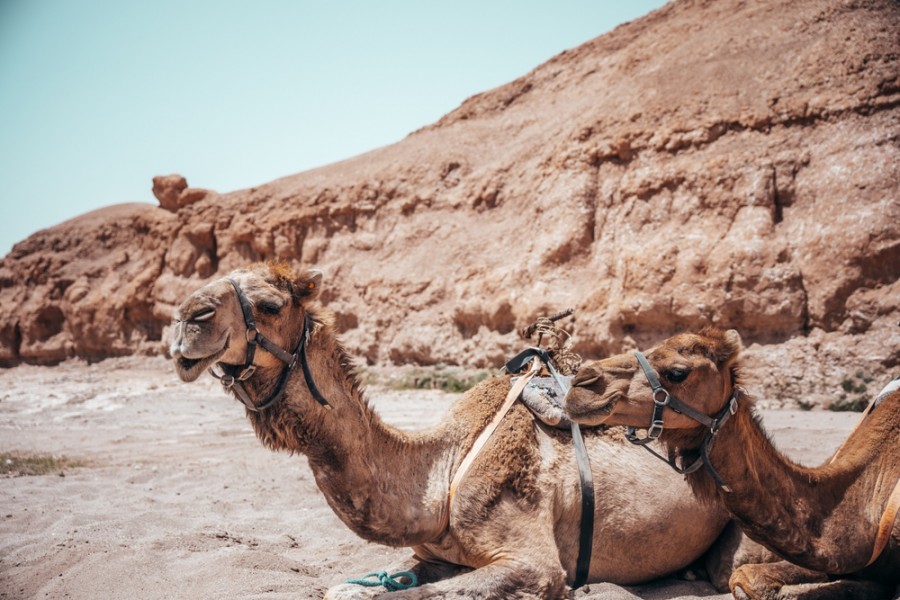 Où aller dans le désert depuis Marrakech ?