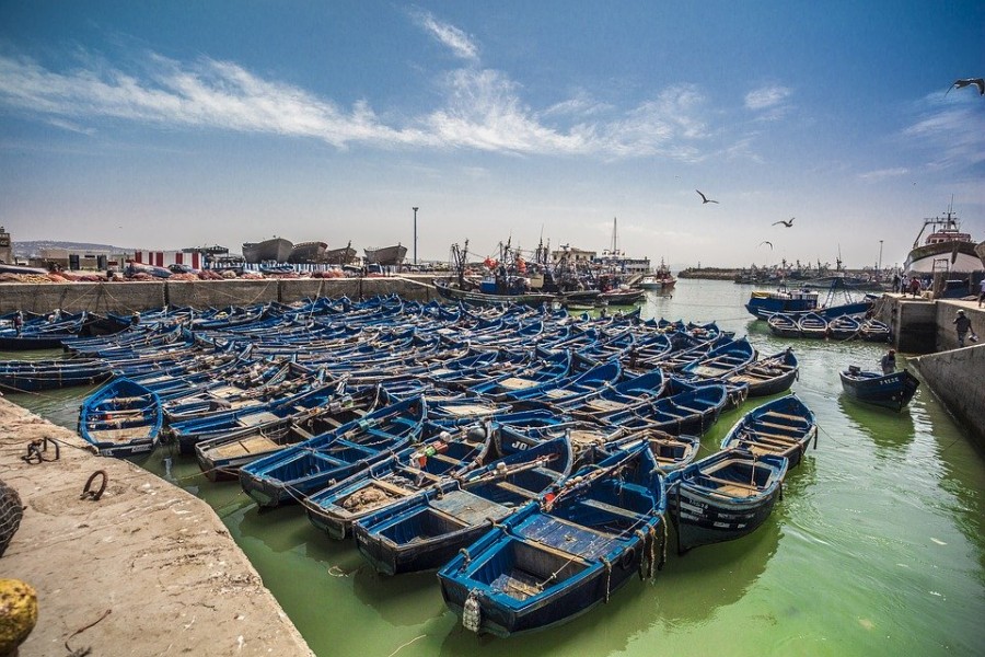 Le port de pêche d'Essaouira