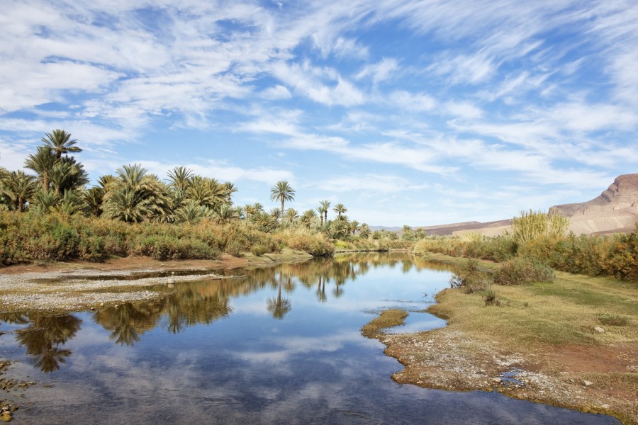 Pourquoi la Vallée du Draa est-elle si prisée des touristes au Maroc ?