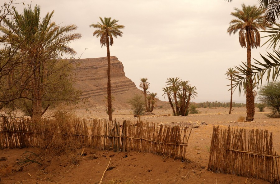 Quels sont les conflits d'intérêts entre les habitants locaux et les investisseurs dans la Vallée du Draa ?