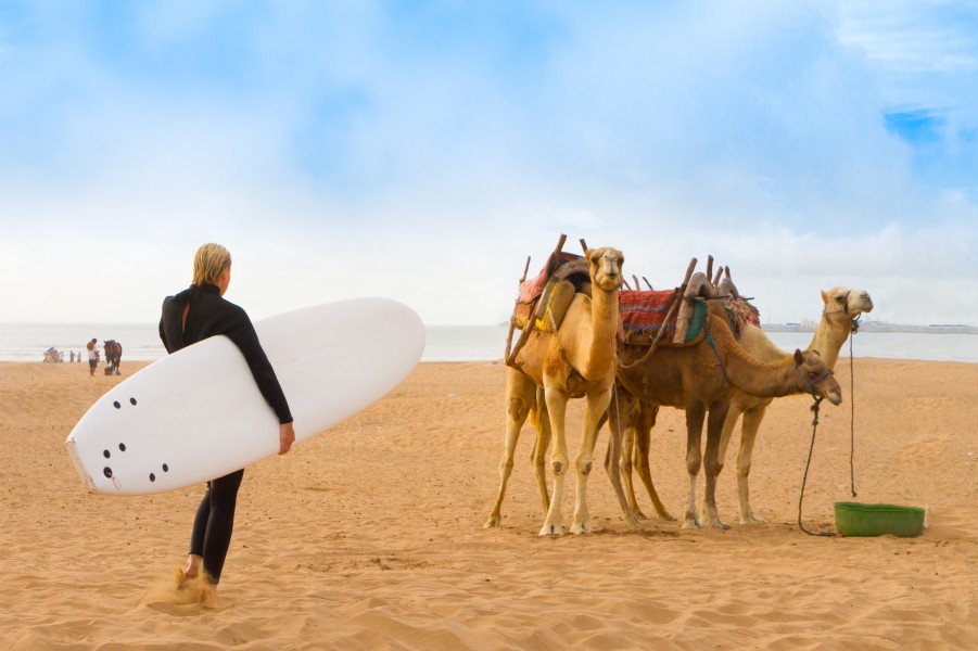 Faire du surf à Essaouira : les bons plans !